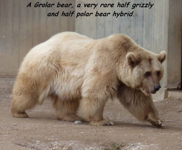 daily picdump 93 pics 39.html - 93 HD Photos | Premium Gallery 2016