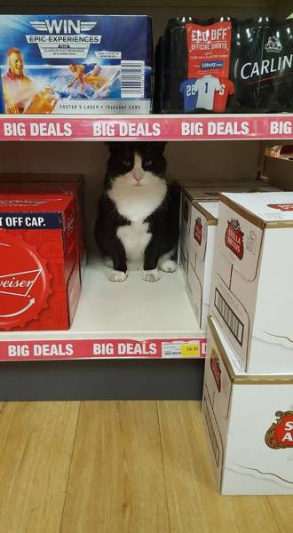 daily picdump 93 pics 39.html - 93 HD Photos | Premium Gallery 2016