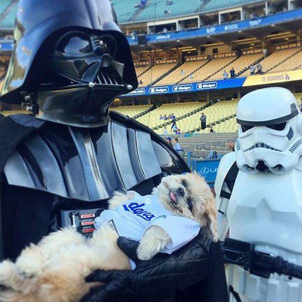 daily picdump 93 pics 39.html - 93 HD Photos | Premium Gallery 2016