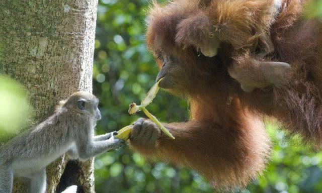 daily picdump 93 pics 39.html - 93 HD Photos | Premium Gallery 2016