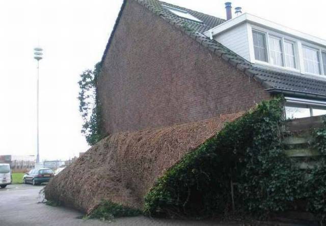 daily picdump 93 pics 39.html - 93 HD Photos | Premium Gallery 2016