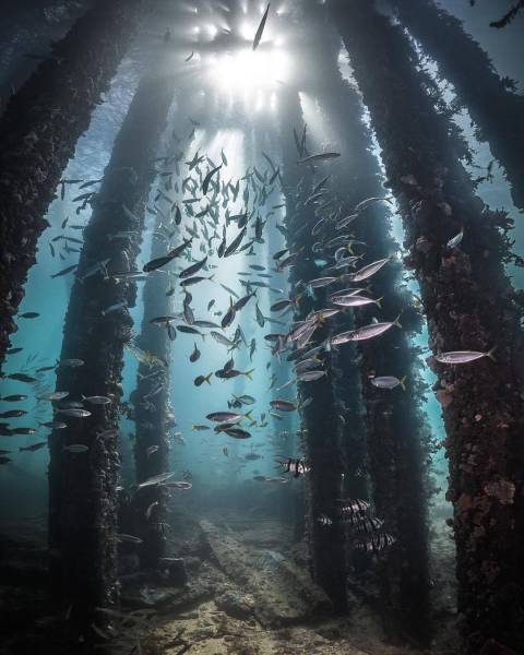 daily picdump 93 pics 39.html - 93 HD Photos | Premium Gallery 2016