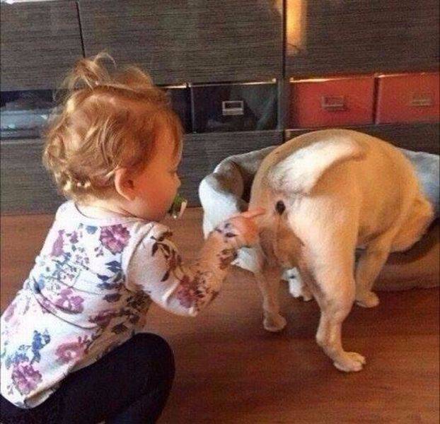 daily picdump 93 pics 39.html - 93 HD Photos | Premium Gallery 2016