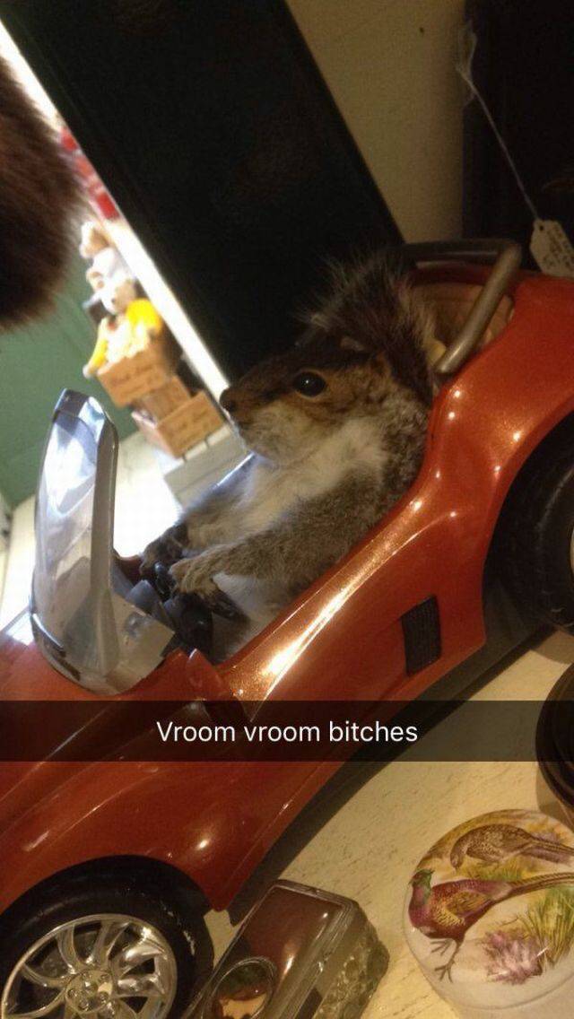 daily picdump 93 pics 39.html - 93 HD Photos | Premium Gallery 2016