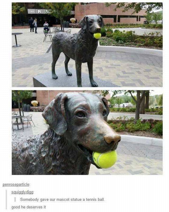 daily picdump 93 pics 39.html - 93 HD Photos | Premium Gallery 2016