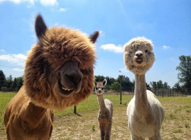 morning picdump 50 pics 5.html - 50 HD Photos | Premium Gallery 2016