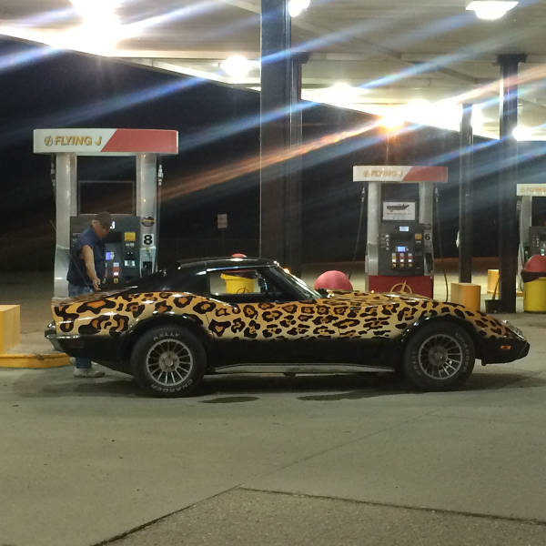 morning picdump 50 pics 5.html - 50 HD Photos | Premium Gallery 2016