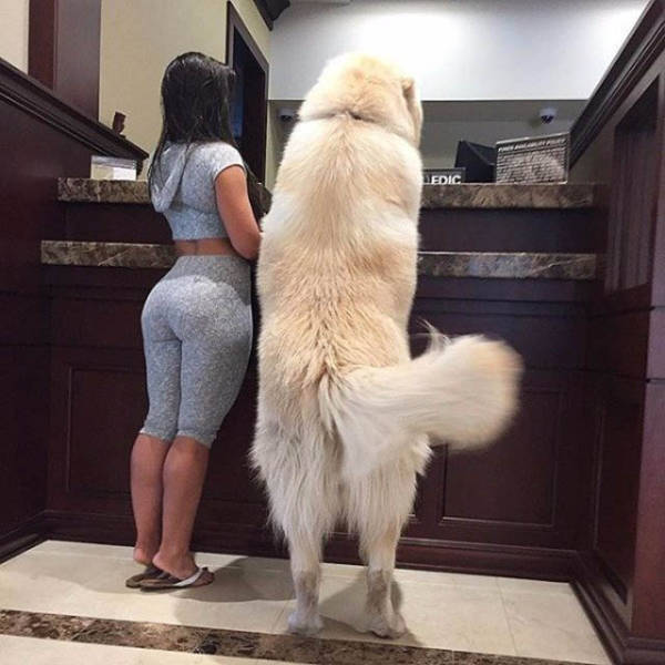 Yoga Pants Are a Real Turn-On