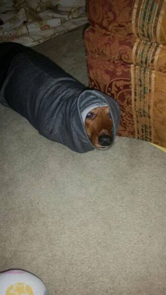 daily picdump 96 pics 39.html - 96 HD Photos | Premium Gallery 2016