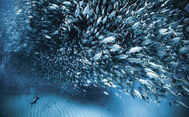 daily picdump 96 pics 39.html - 96 HD Photos | Premium Gallery 2016