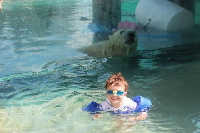 daily picdump 96 pics 39.html - 96 HD Photos | Premium Gallery 2016