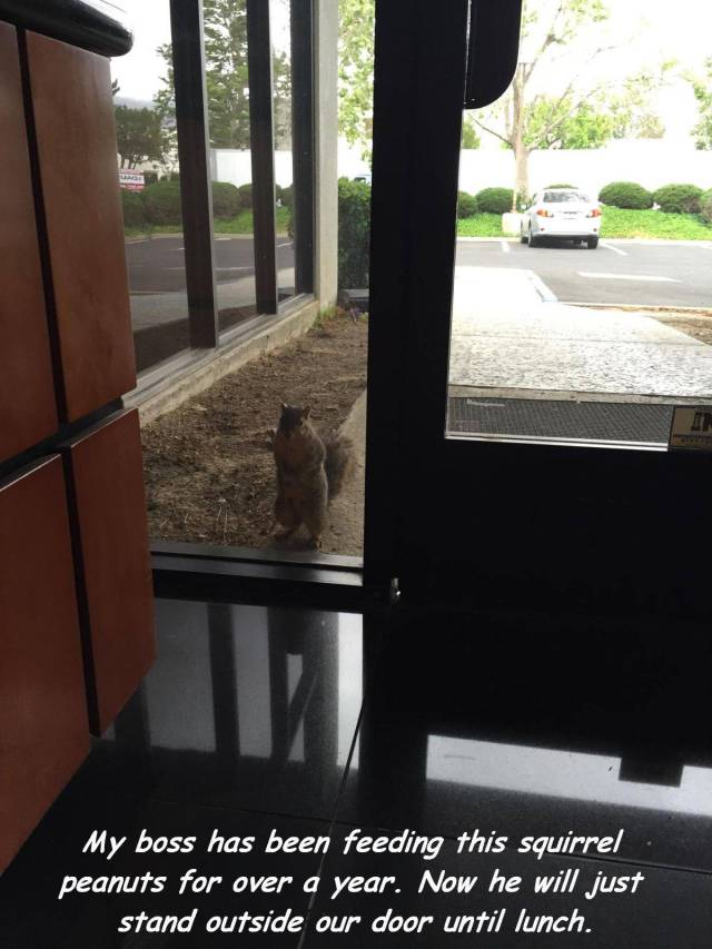 daily picdump 96 pics 39.html - 96 HD Photos | Premium Gallery 2016