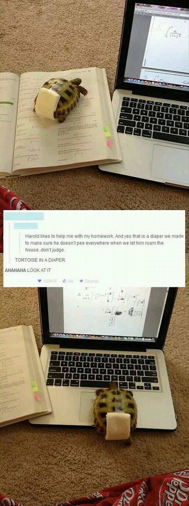 daily picdump 96 pics 39.html - 96 HD Photos | Premium Gallery 2016