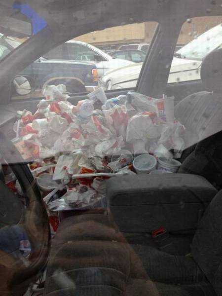 daily picdump 100 pics 42.html - 100 HD Photos | Premium Gallery 2016