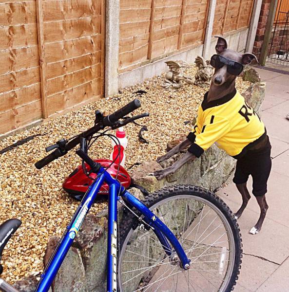 daily picdump 100 pics 42.html - 100 HD Photos | Premium Gallery 2016