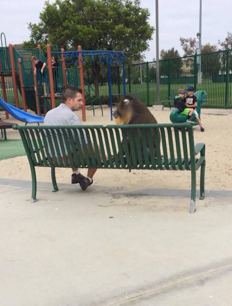 daily picdump 100 pics 42.html - 100 HD Photos | Premium Gallery 2016