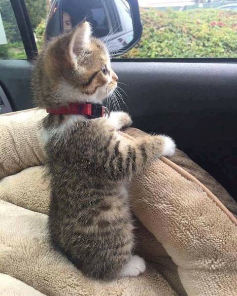 daily picdump 100 pics 42.html - 100 HD Photos | Premium Gallery 2016