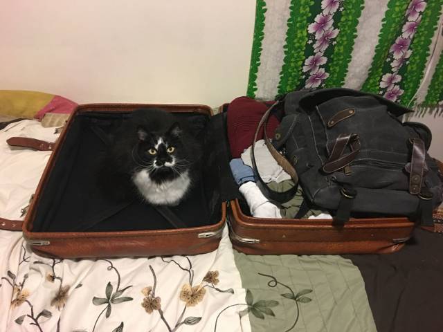 daily picdump 100 pics 42.html - 100 HD Photos | Premium Gallery 2016