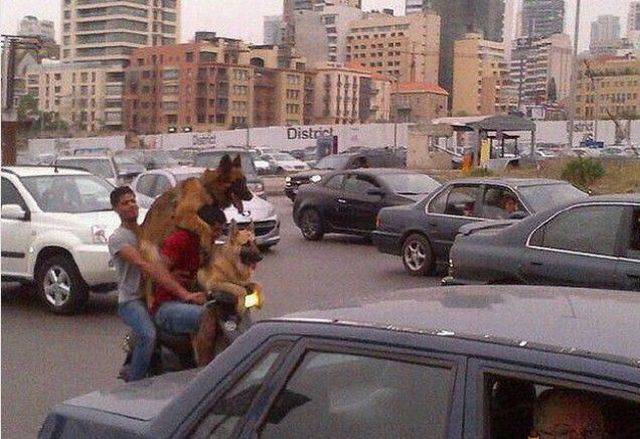 daily picdump 100 pics 42.html - 100 HD Photos | Premium Gallery 2016