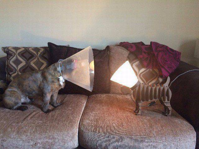 daily picdump 100 pics 42.html - 100 HD Photos | Premium Gallery 2016