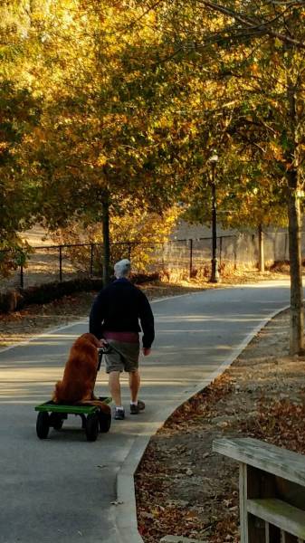 morning picdump 51 pics 9.html - 51 HD Photos | Premium Gallery 2016