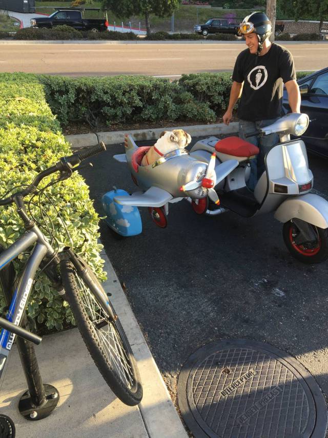 morning picdump 51 pics 9.html - 51 HD Photos | Premium Gallery 2016