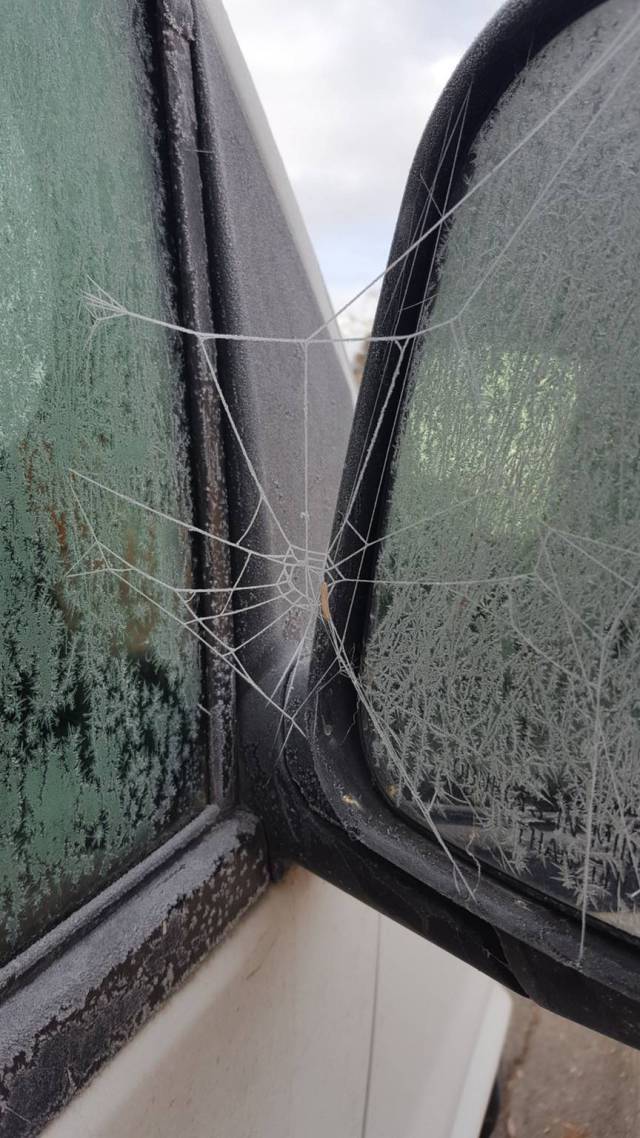 morning picdump 51 pics 9.html - 51 HD Photos | Premium Gallery 2016