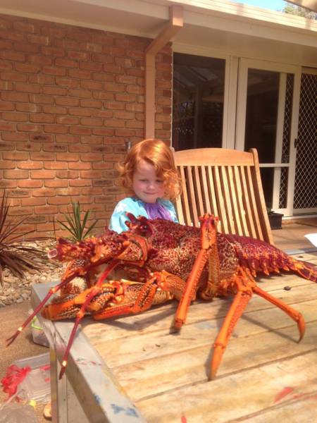 daily picdump 96 pics 41.html - 96 HD Photos | Premium Gallery 2016