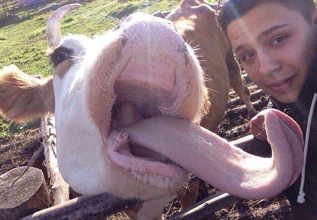 daily picdump 96 pics 41.html - 96 HD Photos | Premium Gallery 2016