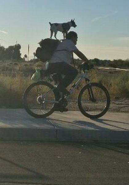 daily picdump 96 pics 41.html - 96 HD Photos | Premium Gallery 2016