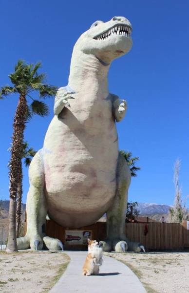 daily picdump 96 pics 41.html - 96 HD Photos | Premium Gallery 2016