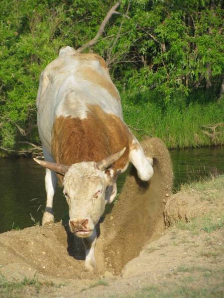 daily picdump 96 pics 41.html - 96 HD Photos | Premium Gallery 2016