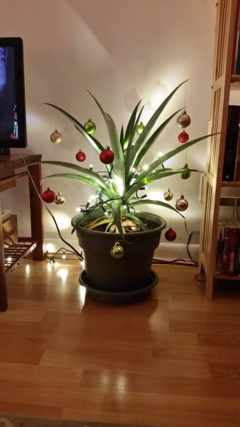 daily picdump 96 pics 41.html - 96 HD Photos | Premium Gallery 2016