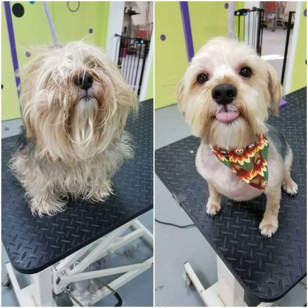 daily picdump 96 pics 41.html - 96 HD Photos | Premium Gallery 2016