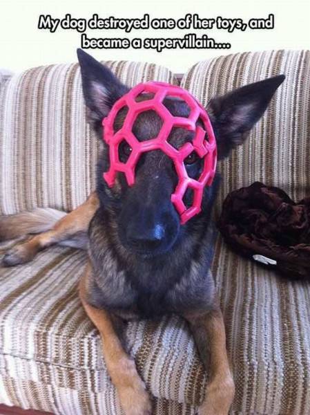 daily picdump 96 pics 41.html - 96 HD Photos | Premium Gallery 2016