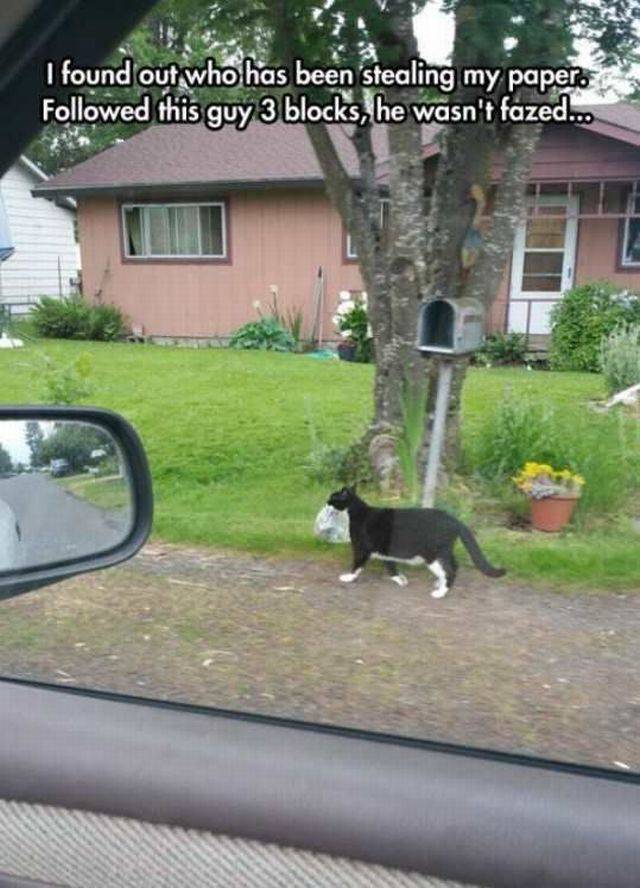 daily picdump 96 pics 41.html - 96 HD Photos | Premium Gallery 2016