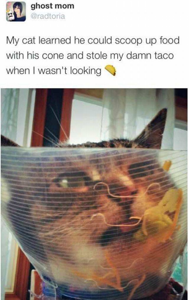 daily picdump 96 pics 41.html - 96 HD Photos | Premium Gallery 2016