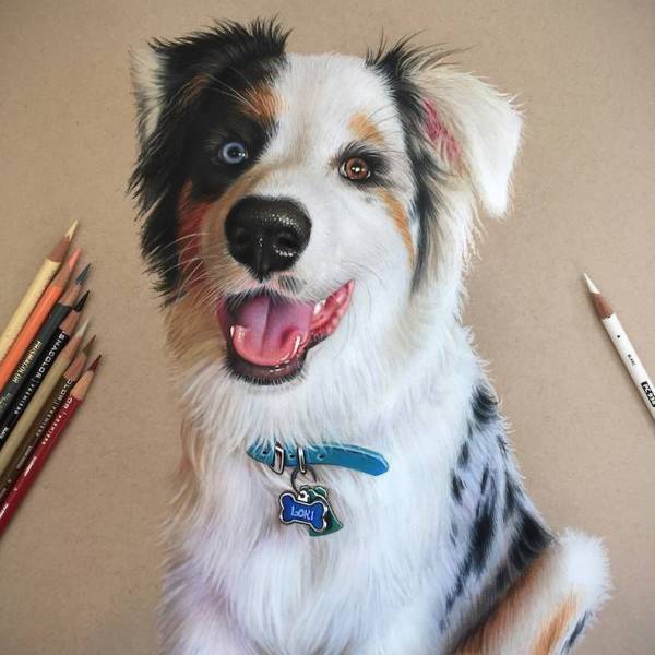 daily picdump 101 pics 41.html - 101 HD Photos | Premium Gallery 2016
