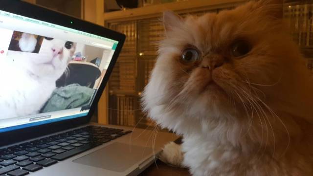 daily picdump 94 pics 2.html - 94 HD Photos | Premium Gallery 2016