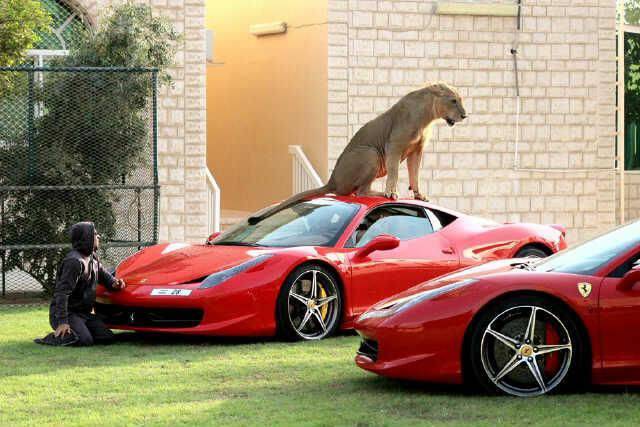 daily picdump 94 pics 2.html - 94 HD Photos | Premium Gallery 2016