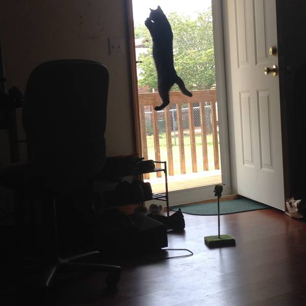 Morning Picdump