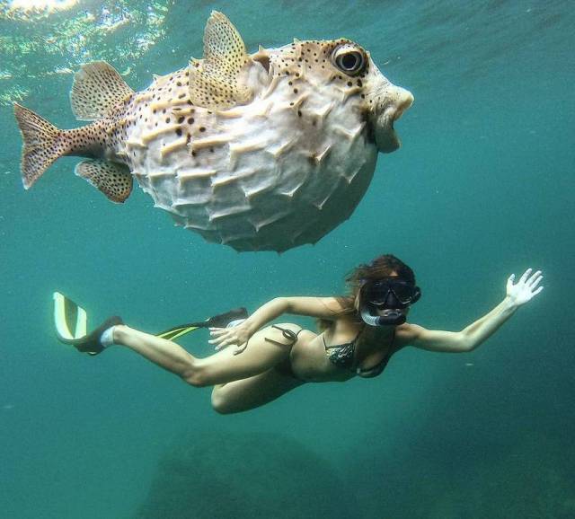 Daily Picdump