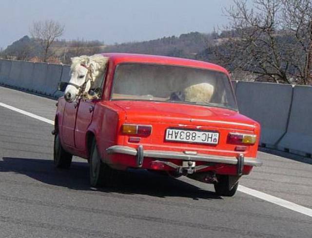 daily picdump 94 pics 21.html - 94 HD Photos | Premium Gallery 2016
