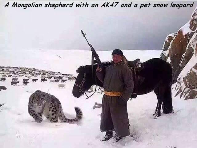 Daily Picdump
