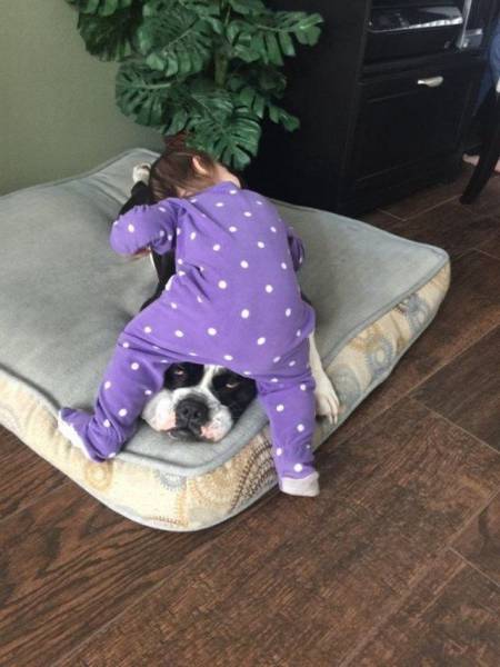 Daily Picdump