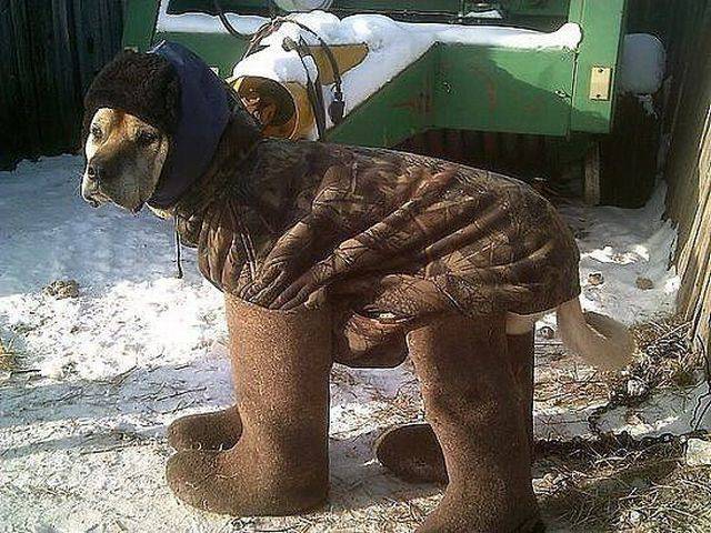Daily Picdump