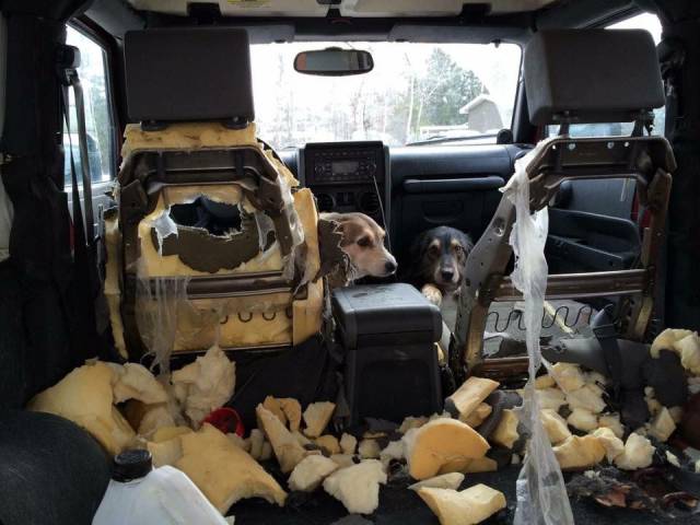 daily picdump 102 pics 49.html - 102 HD Photos | Premium Gallery 2016