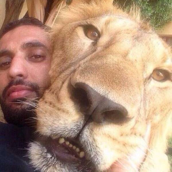 daily picdump 102 pics 49.html - 102 HD Photos | Premium Gallery 2016