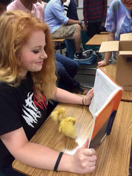 Girls Going a Little Crazy