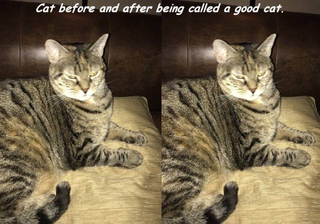 daily picdump 92 pics 35.html - 92 HD Photos | Premium Gallery 2016